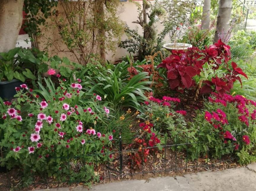Squirrels Corner Bed & Breakfast Montagu Exterior foto