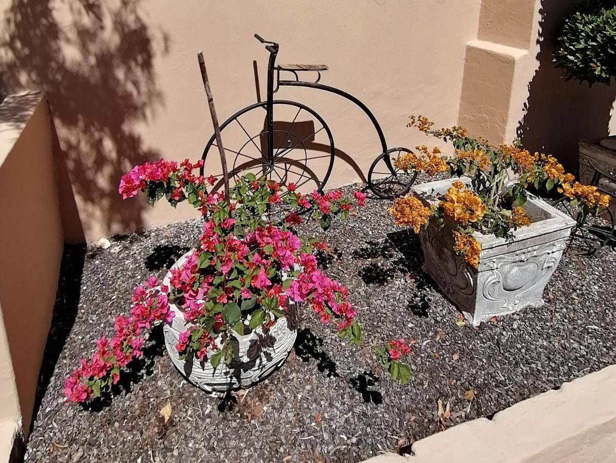 Squirrels Corner Bed & Breakfast Montagu Exterior foto