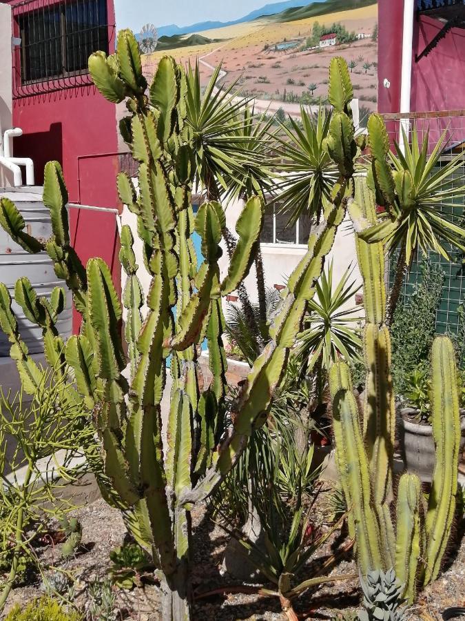 Squirrels Corner Bed & Breakfast Montagu Exterior foto